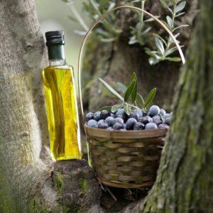 olive-oil-black-olives