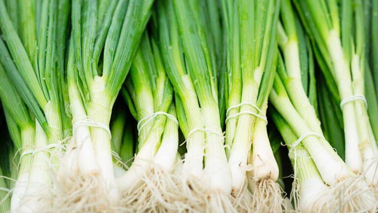 fresh-green-onions