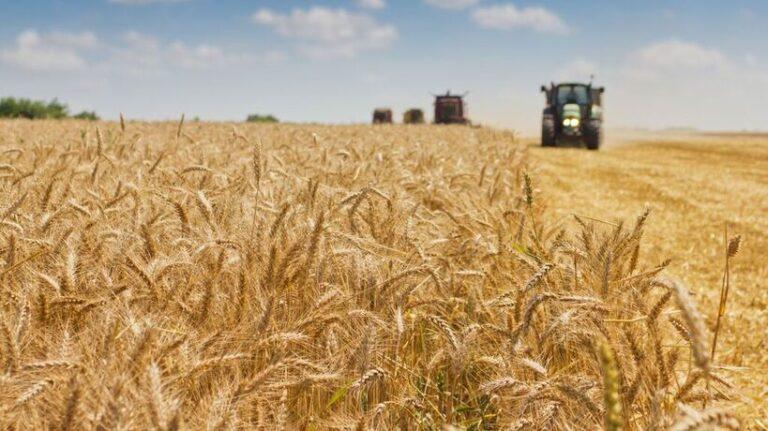 industrial-crop-wheat-tractor