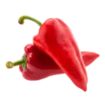 pepper