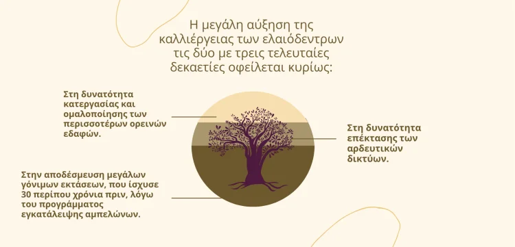 olive groves increase έλλειψη λίπανσης της ελιάς