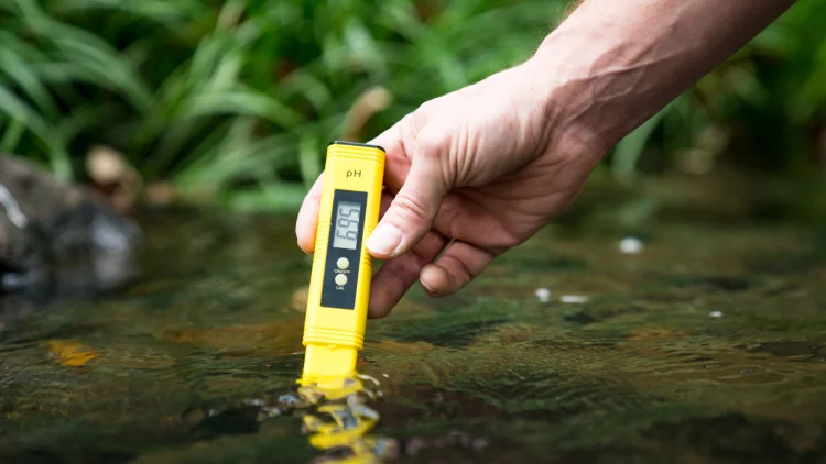 αλατότητα και pH