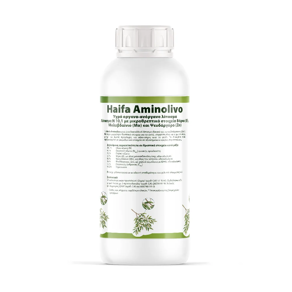 Haifa Amino Olivo 1000x1000